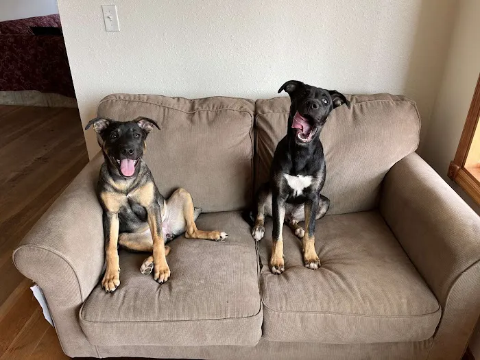 Family Pet Clinic 9