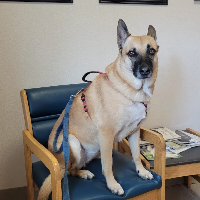 Family Pet Clinic 7