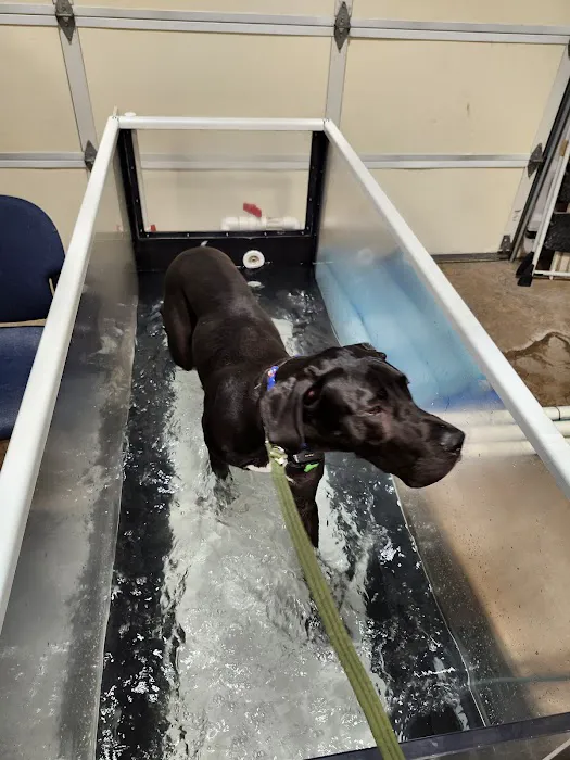 Newberg Canine Rehab Center 8