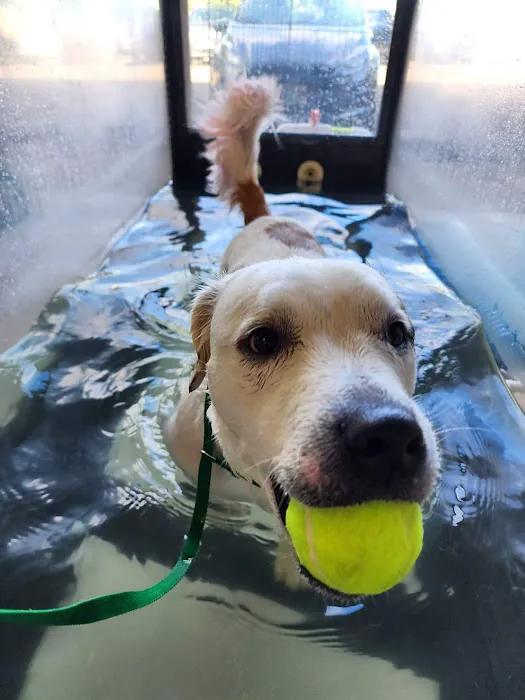 Newberg Canine Rehab Center 5