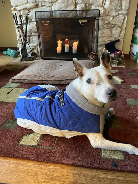 Newberg Veterinary Hospital 9