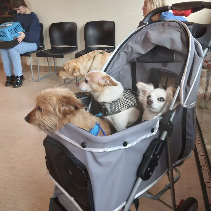 Newberg Veterinary Hospital 2
