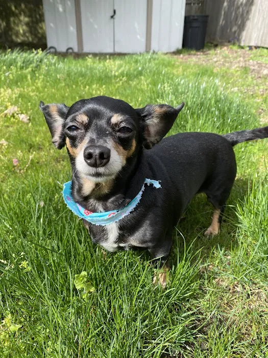 Stayton Veterinary Hospital 8