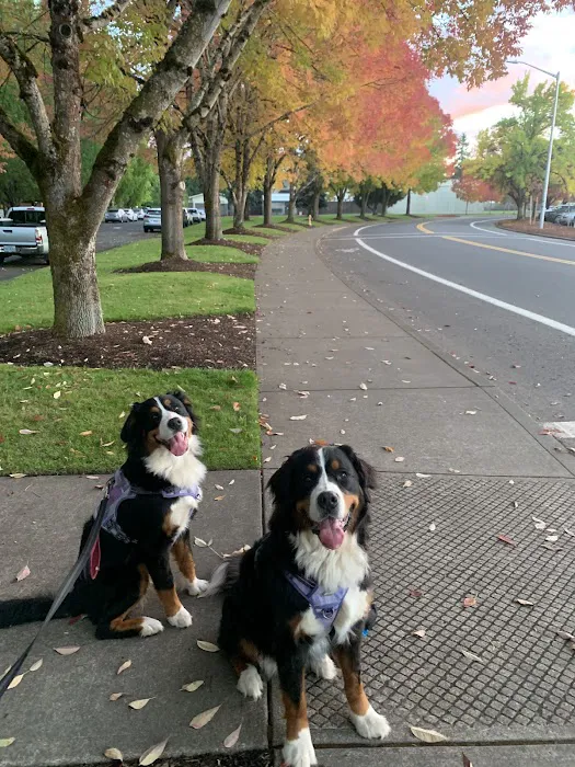 Stayton Veterinary Hospital 7