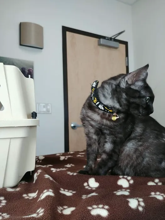 Stayton Veterinary Hospital 10
