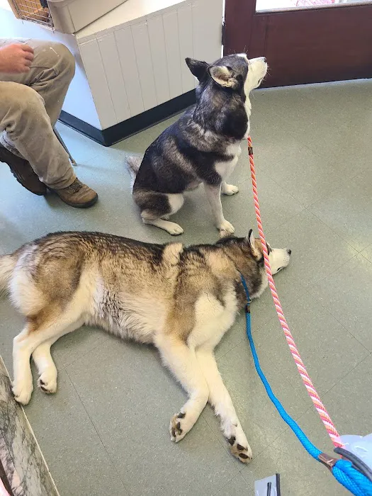Scio Animal Clinic 6