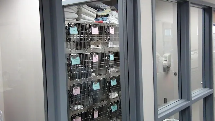 Oregon Humane Society Salem Veterinary Clinic 6