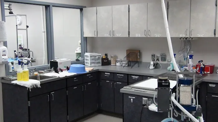 Oregon Humane Society Salem Veterinary Clinic 1