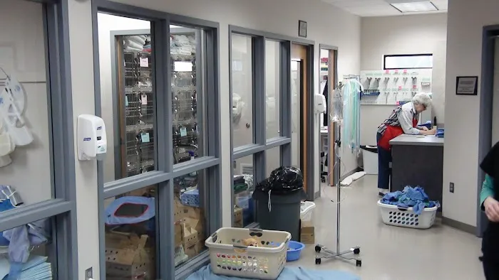 Oregon Humane Society Salem Veterinary Clinic 10