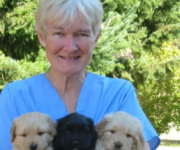 Hoof & Paw Veterinary Service (Dr. Jane Knoper)