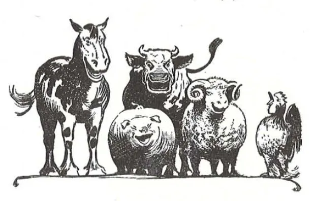 Hoof & Paw Veterinary Service (Dr. Jane Knoper) 3