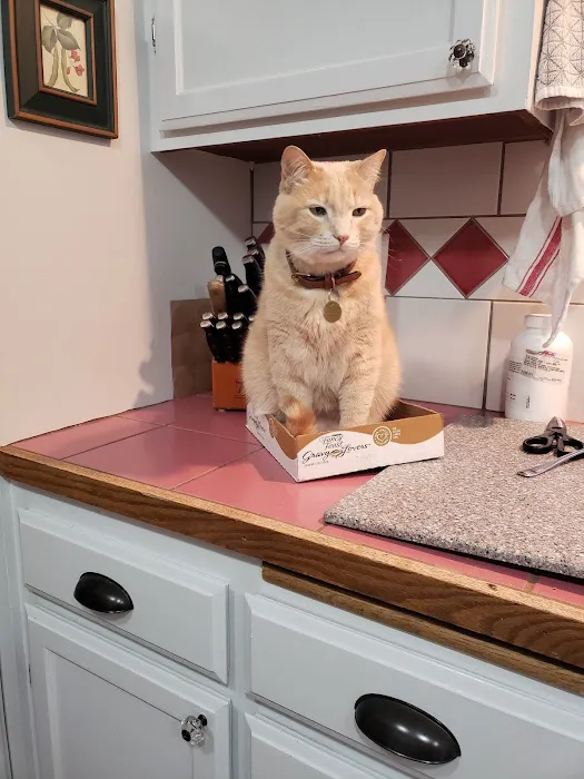 Four Corners Animal Hospital 3