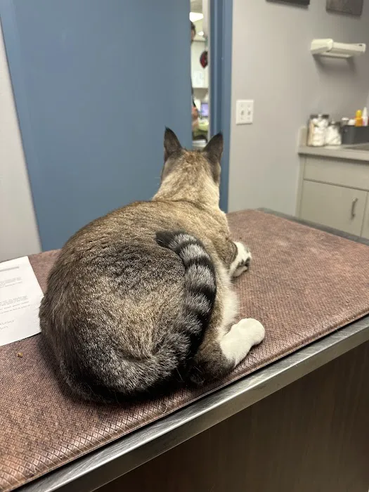 Animal Care Center Veterinary Clinic 12