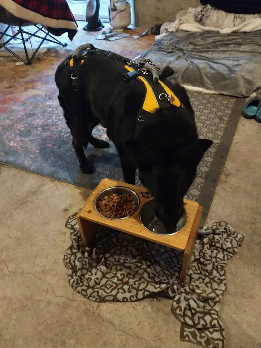 Salem Oregon Animal Rehabilitation - SOAR 12