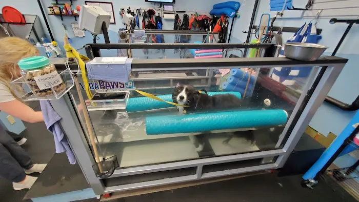 Salem Oregon Animal Rehabilitation - SOAR 12