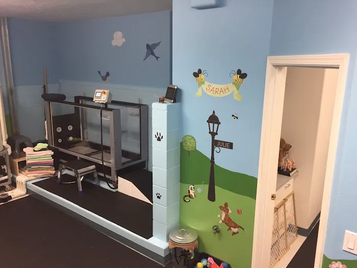 Salem Oregon Animal Rehabilitation - SOAR 12