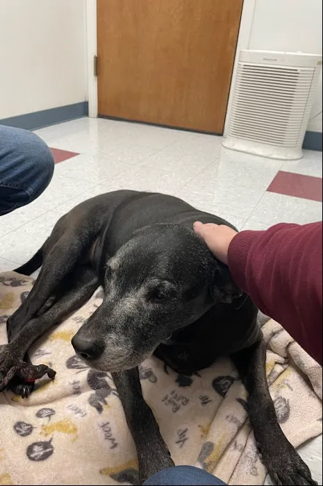 Salem Veterinary Emergency Clinic 12