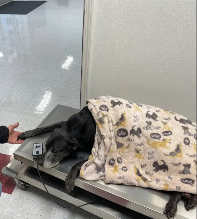 Salem Veterinary Emergency Clinic 12
