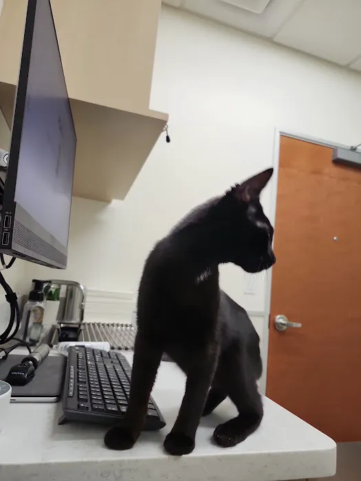 Vetco Total Care Animal Hospital 12
