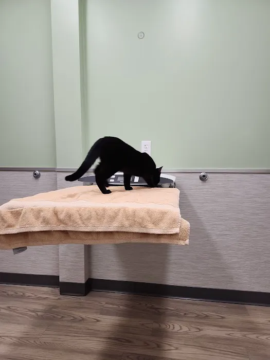 Vetco Total Care Animal Hospital 12