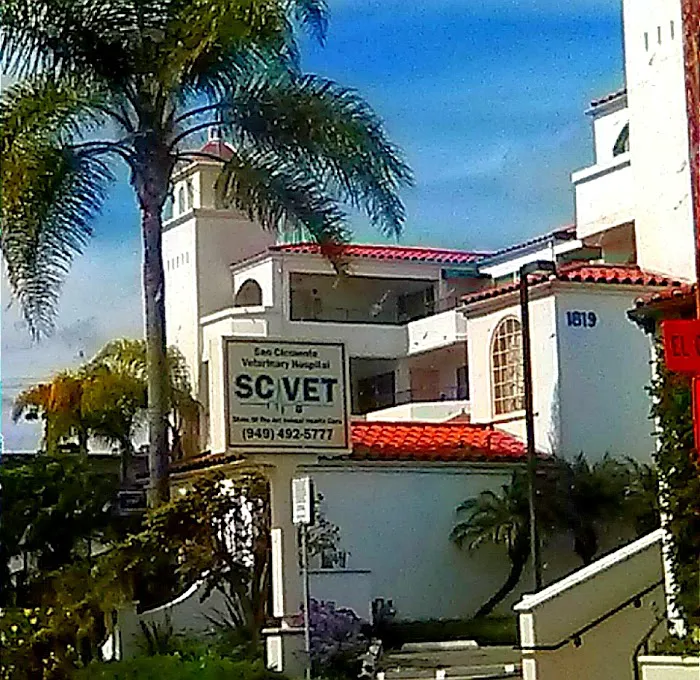 San Clemente Veterinary Hospital 2