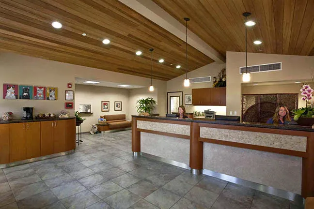 San Clemente Veterinary Hospital 4