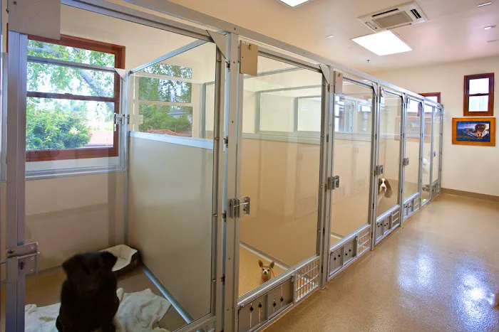 San Clemente Veterinary Hospital 6