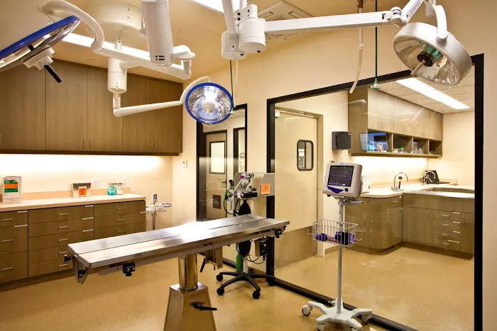 San Clemente Veterinary Hospital 7
