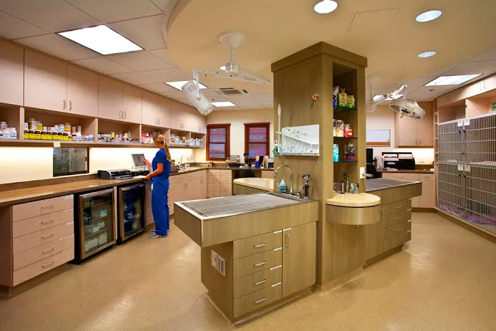 San Clemente Veterinary Hospital 5