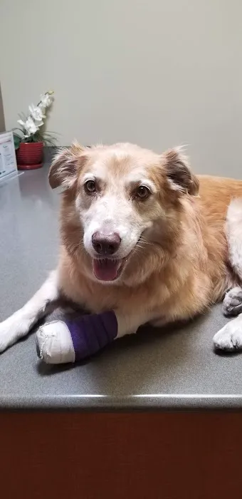 Pacific Coast Veterinary Hospital 12