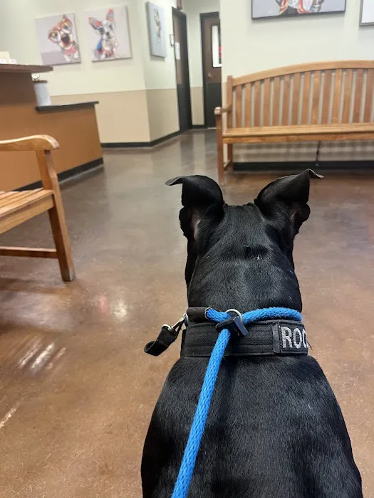 Camino Veterinary Hospital 6