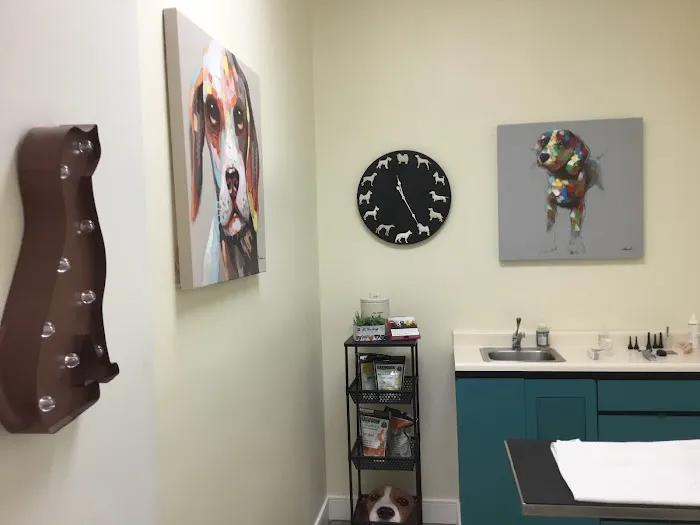 Camino Veterinary Hospital 7