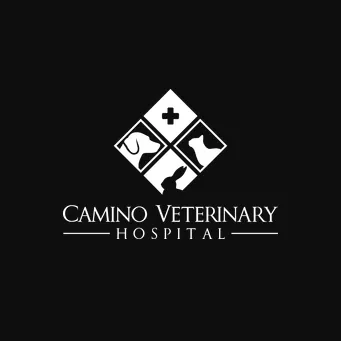 Camino Veterinary Hospital 3