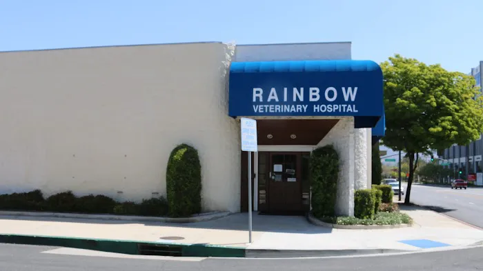 Rainbow Veterinary Hospital 12