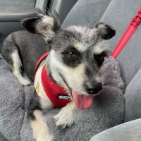 Rainbow Veterinary Hospital ico