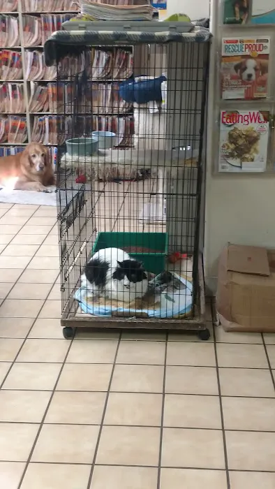 Toluca Burbank Dog & Cat Hospital 12