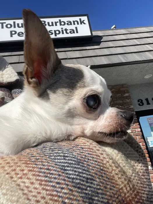 Toluca Burbank Dog & Cat Hospital 12