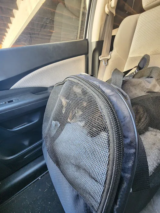 Toluca Burbank Dog & Cat Hospital 12