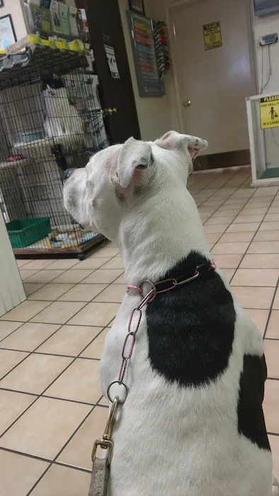 Toluca Burbank Dog & Cat Hospital 12