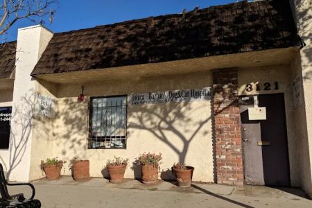 Toluca Burbank Dog & Cat Hospital