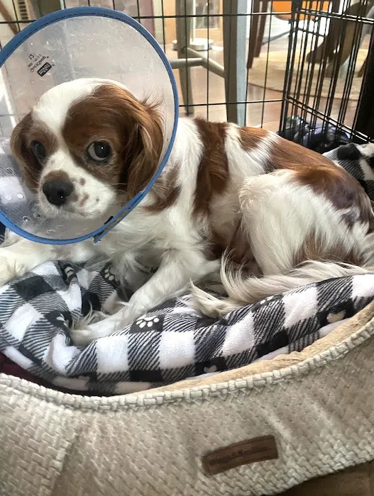 Vetco Total Care Animal Hospital 12