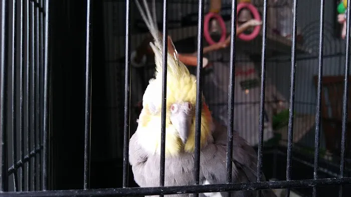 Sweet Home Veterinary Hospital 12