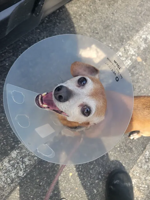 Banfield Pet Hospital 12