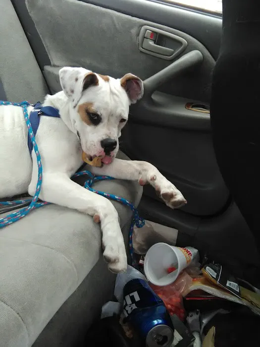 Banfield Pet Hospital 12