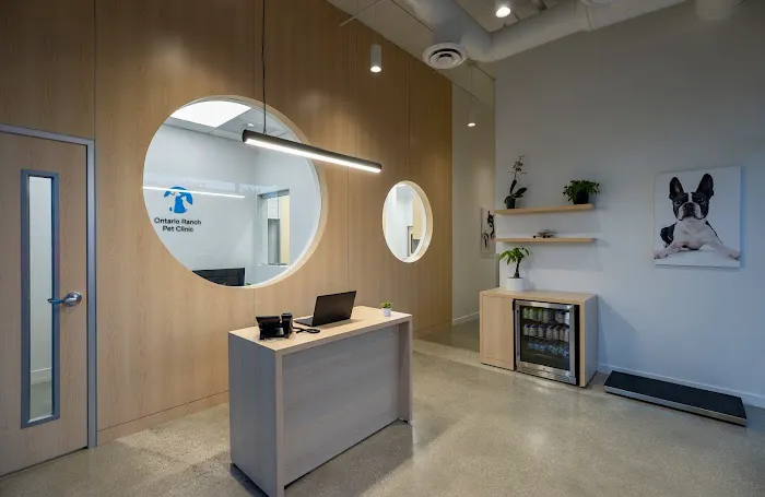 Ontario Ranch Pet Clinic 6
