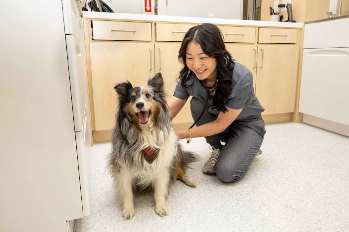 Ontario Ranch Pet Clinic 8