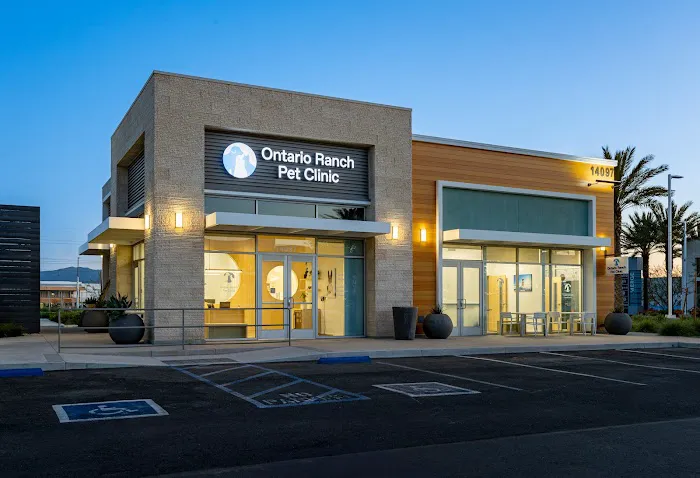 Ontario Ranch Pet Clinic 4