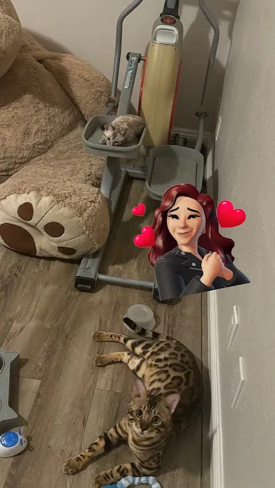 Cali Bengals 4