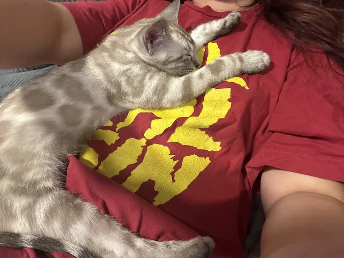 Cali Bengals 6