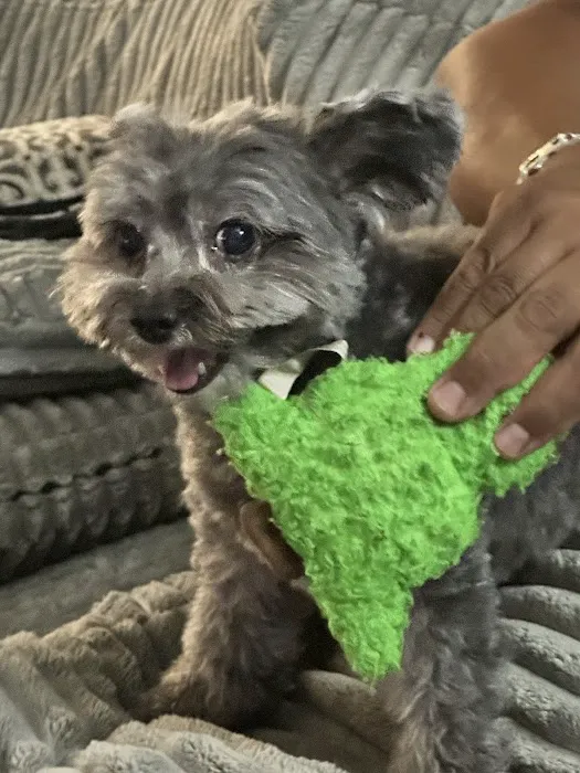 Banfield Pet Hospital 6